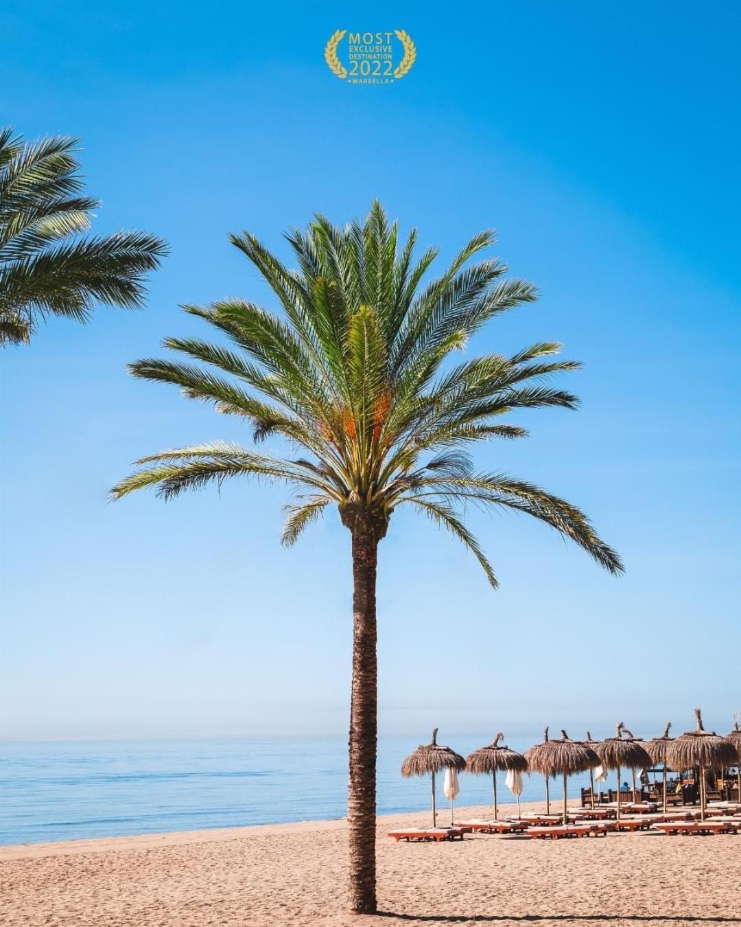 Puerto Banus Crystal Suite Marbella Exteriör bild